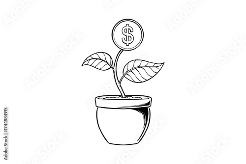 lineart illustration of money plant