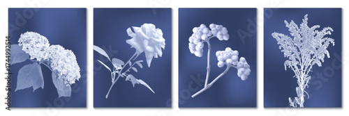 Cyanotype floral patterns set with hydrangea, rose, rowan berries on deep blue background. Vector illustration of botanical prints for vintage wall art. Monochrome nature photography collection