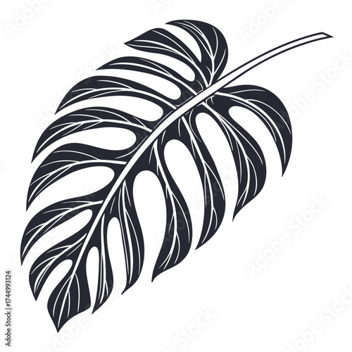 A striking monochrome vector illustration presents a monstera leaf, , capturing the essence of tropical flora and botanical artistry with its unique design