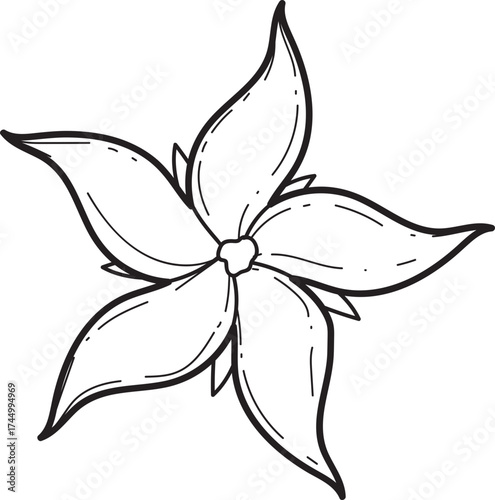 Hand-Drawn Five-Petal Flower Outline. Botanical Line Art Illustration. Coloring Book Element.
