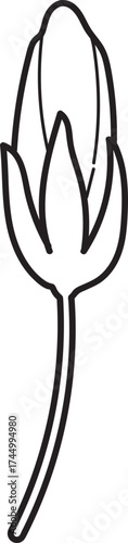 Simple flower bud line art icon. Minimalist botanical outline drawing of an unfurling blossom.