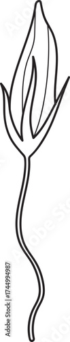 Minimalist Line Art of a Stylized Flower Bud or Flame Icon