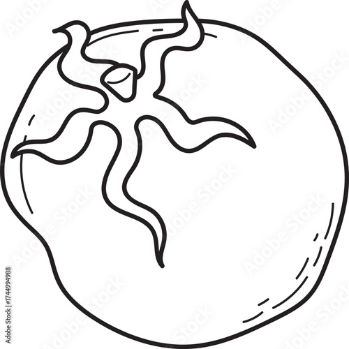 Simple Tomato Line Art. Hand-drawn Black and White Vegetable Outline Illustration. Food Icon for Coloring Book or Graphic Design