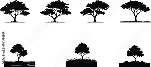 Tree silhouettes set, diverse foliage icons, botanical vector artwork, landscape design elements, black tree graphics, woodland illustration, nature environment design