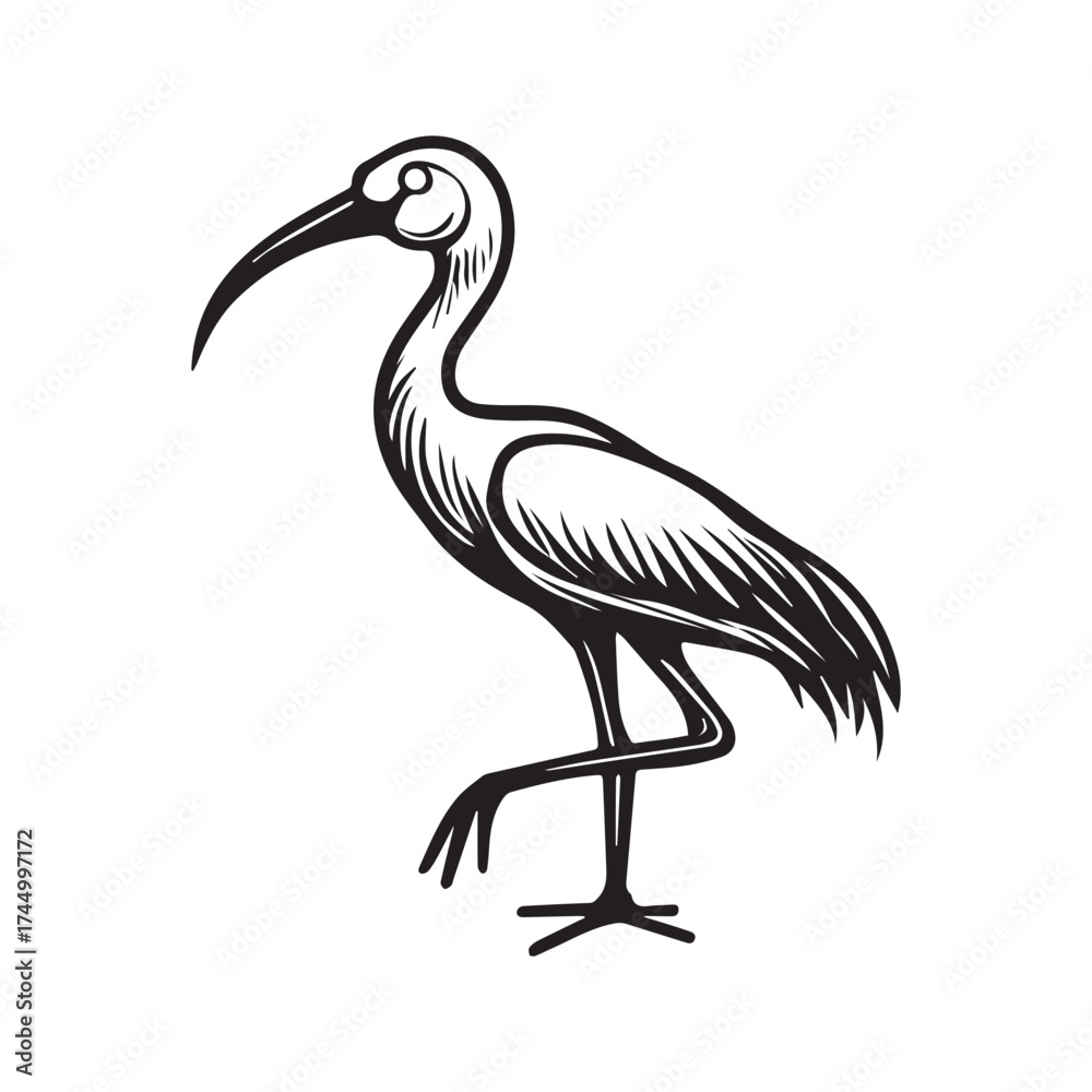 Fototapeta premium Night Sky Stork Symbol with Balanced Circular Composition