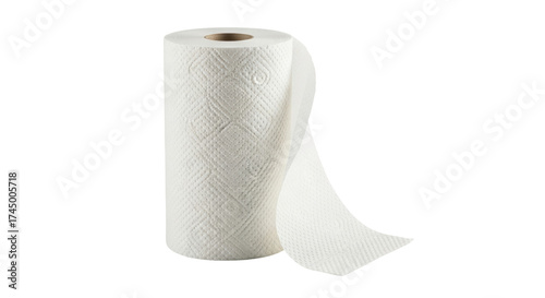 Isolated roll of absorbent household paper towels for kitchen cleanup and hygiene tasks