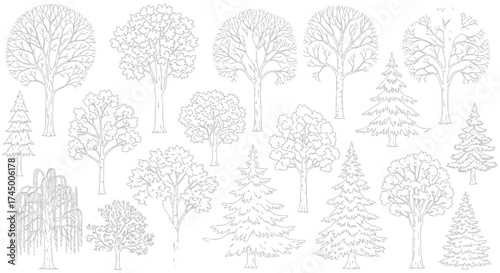Vector line drawing illustration of various tree species including deciduous and evergreen trees, white background