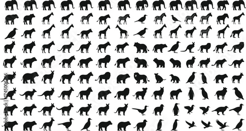 Animal silhouettes, wildlife vector set, elephant bird wolf gorilla kangaroo collection, black illustration, nature design, zoology icons, educational art, fauna shapes