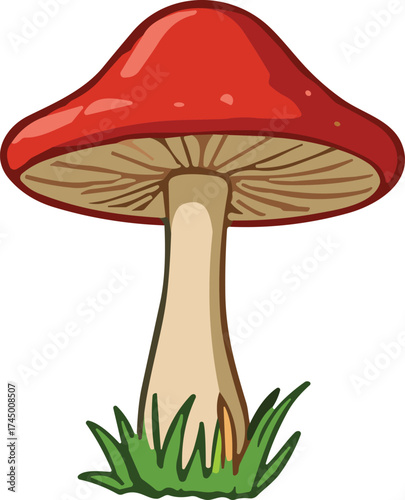 Cartoon red mushroom, Amanita muscaria illustration, forest fungus, fairy tale style, nature drawing, whimsical cap, gills, grass base