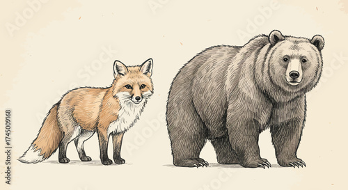 Detailed sketch of a fox and a bear standing side by side in a rustic style