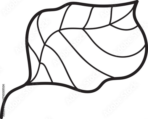 Simple Botanical Leaf Outline Drawing. Black and white line art of a plant leaf with veins, isolated on white, a natural graphic resource.