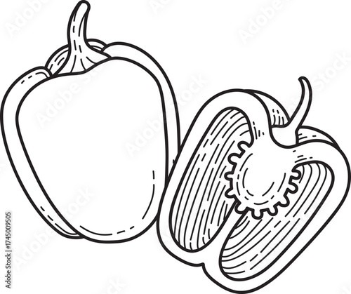 Bell Pepper Line Art Illustration. Whole and Sliced Capsicum Drawing. Vegetable outline with seeds.