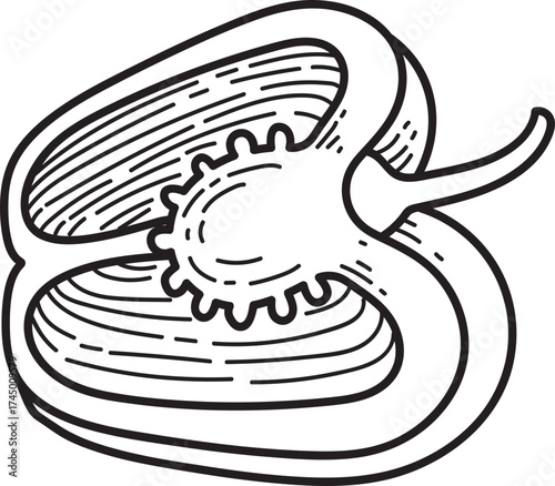 Bell Pepper Half Line Art Illustration. Hand-drawn cross-section of a sweet pepper with seeds, black and white vector graphic.