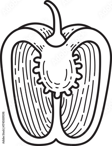 Halved Bell Pepper Line Art. Outline illustration of sweet pepper cross-section, showing seeds and texture. Vegetable icon.