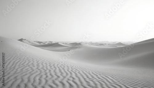 Desert landscape with vast sand dunes in monochrome. Expansive grey terrain with rippled sand texture. Barren and desolate environment under a bright sky.