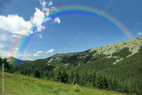 Mountain landscape with con...
