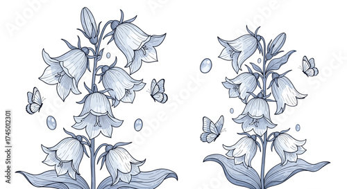 A delicate illustration of two bellflower clusters with swirling butterflies and tiny dewdrop accents.