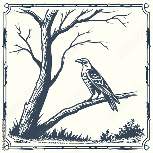 A majestic hawk perches on a bare branch of a leafless tree in a stylized illustration with a decorative border