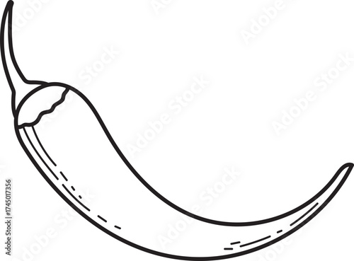 Chili Pepper Line Art. Simple spicy vegetable outline drawing, ideal for coloring books, icons, or graphic design.