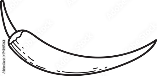 Chili Pepper Line Art Illustration Icon