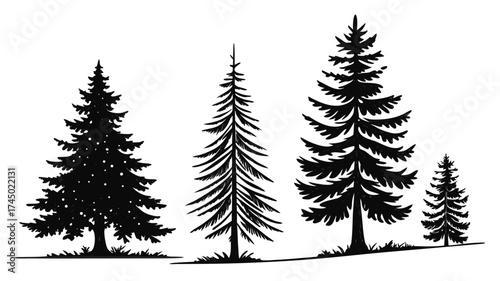 chrismas Pine tree silhouette vector set, evergreen forest trees illustration isolated on white background