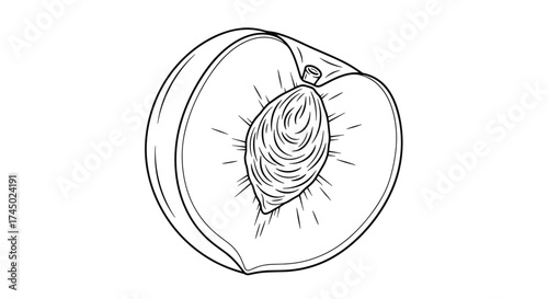 A half of a peach with its pit visible inside the flesh.