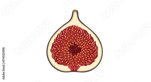 A close up of a ripe fig cut in half revealing its seeds.