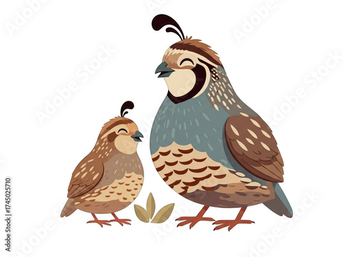 Two cheerful quails standing together in nature