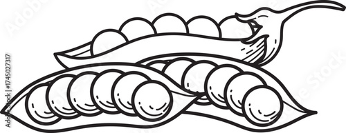 Black and White Line Art Illustration of Fresh Pea Pods with Peas, a Healthy Vegetable Ingredient for Cooking