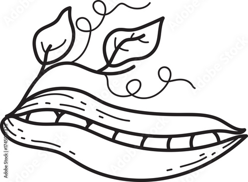 Hand drawn open pea pod with peas, leaves, and tendrils. Black and white line art illustration of fresh green vegetable.