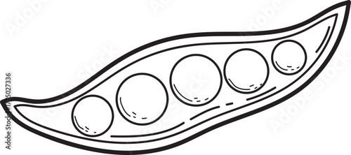 Outline illustration of an open pea pod with peas. Simple black and white line art drawing of fresh healthy vegetable.