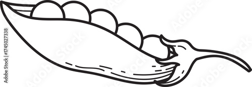 Simple black and white line art illustration of an open pea pod with peas. Fresh vegetable graphic design element.