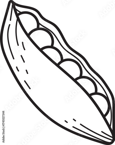 Open Pea Pod with Peas Line Art Illustration. Black and white outline drawing of a vegetable pod with fresh seeds.