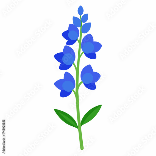 Vibrant blue delphinium flower stalk vector on white background.