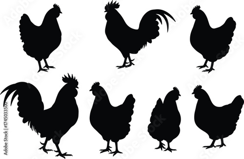 Chicken and rooster silhouette set, farm poultry vector icons, black hen shapes, domestic bird collection, animal graphic for agriculture, livestock design