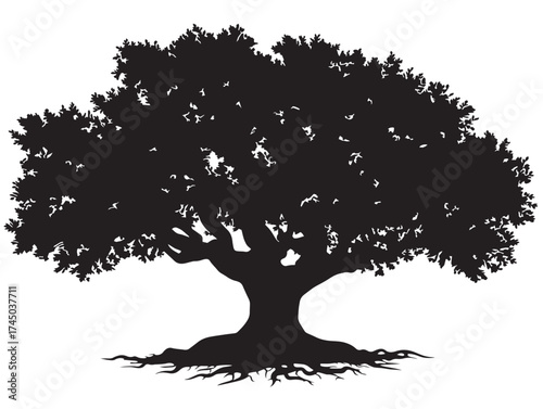 Detailed Thorny Tree With Roots Illustration 2D Vector Art