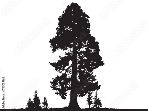 Elegant Redwood Tree Outline 2D Vector Line Illustration