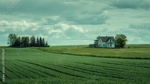 Fototapeta Naklejka Na Ścianę i Meble -  White farmhouse on a green field under a cloudy sky in a rural landscape.