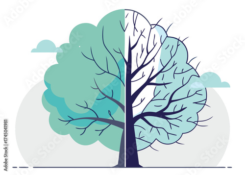 Tree split green and bare branches with clouds vector
