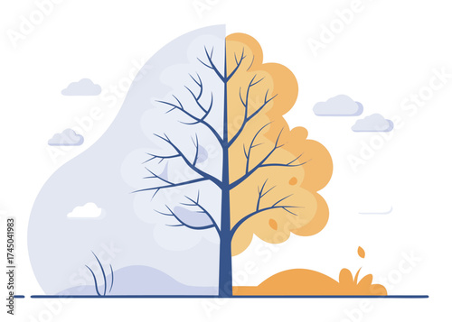 Stark blue tree with bare branches on one side and autumn foliage on the other winter