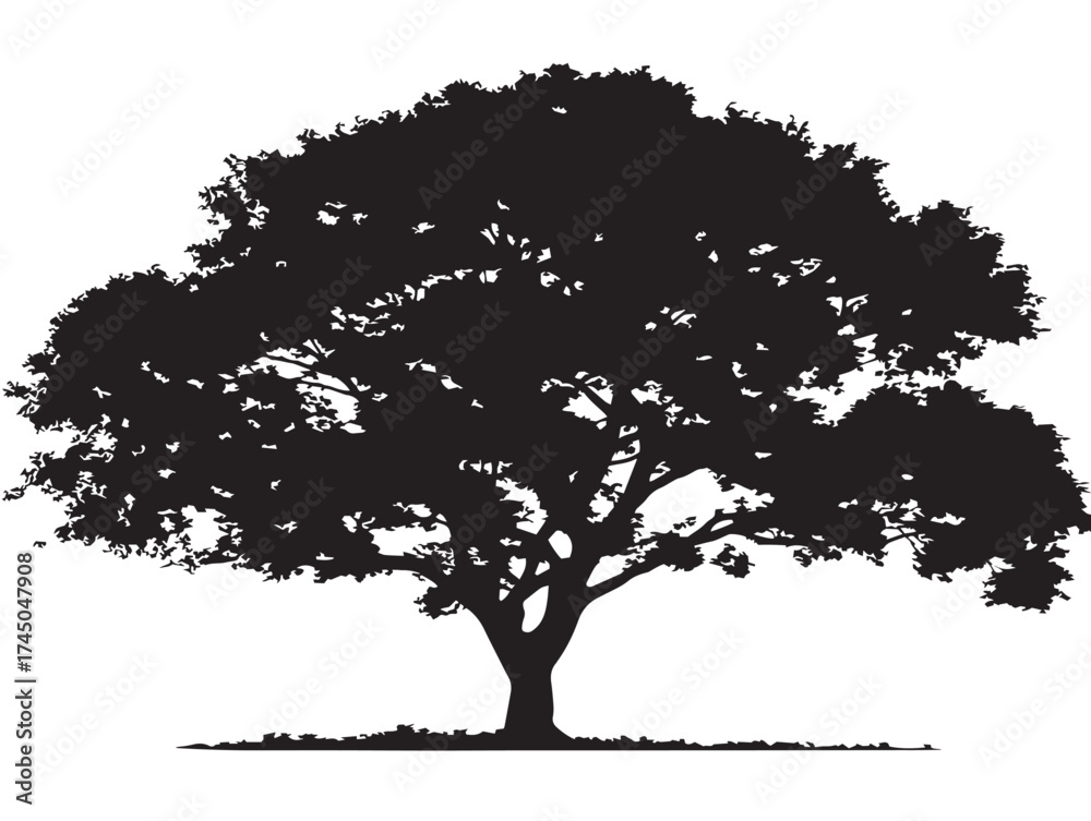 Fototapeta premium Natural Canopy Tree 2D Vector Line Art Silhouette Illustration