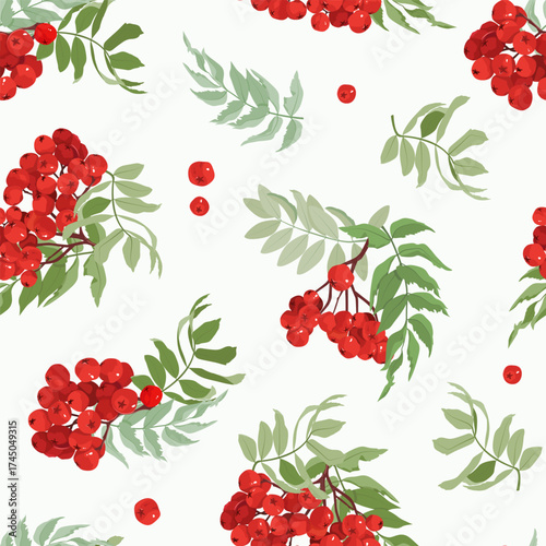 Mountain ash branches against a white background. Seamless vector illustration. Perfect for decorating textiles, packaging, and wallpaper.