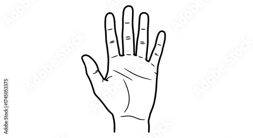 Hand palmistry lines illustration for fortune telling.