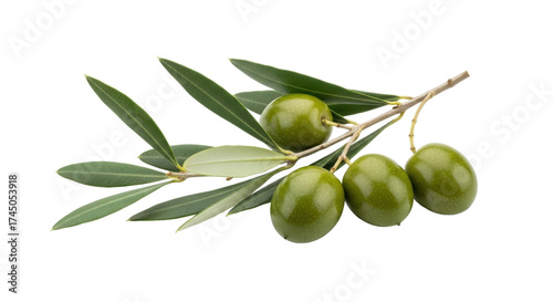 Foto Isolated branch of green olives on a twig with natural leaves, a fresh raw olive