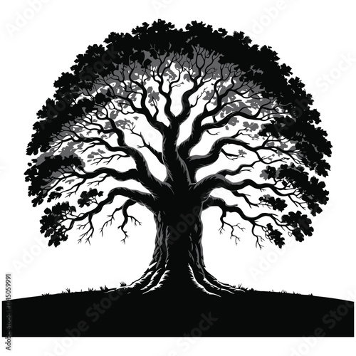 Silhouette of a mature big deciduous tree vector illustration