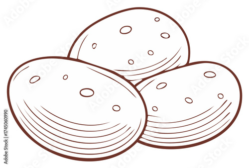 Outline illustration of three potatoes, brown line art drawing