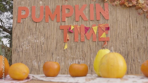 Experience a delightful autumn display featuring a charming 'PUMPKIN TIME' sign surrounded by beautifully arranged pumpkins, capturing the essence of fall festivities and harvest cheer.