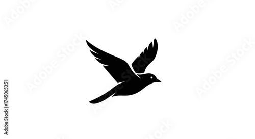 Silhouette of a black bird in flight against a white background.