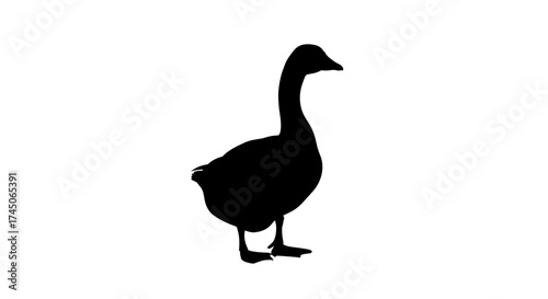 Silhouette of a goose standing upright on a white background showcasing its elegant form and distinct profile.
