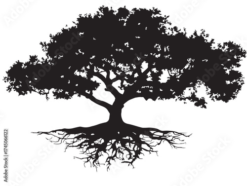 Elegant silhouette of tree with knotted roots vector illustration